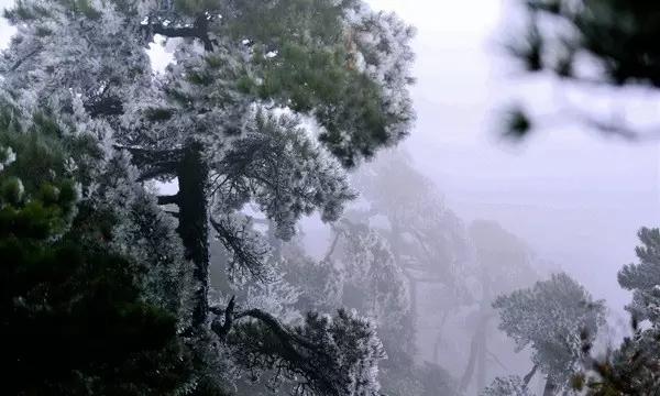 上海体育大学普拉提教练培训启动